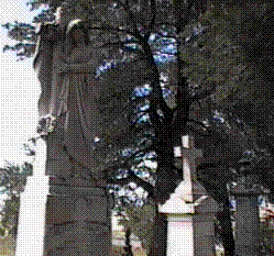 Austin cemetery image