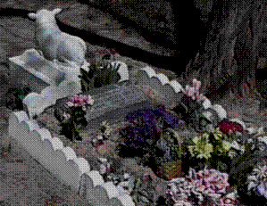Preston Cemetery image 3