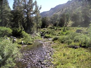 Molybdenite Creek
